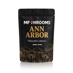 Buy Aztec Gods Magic Mushroom Online