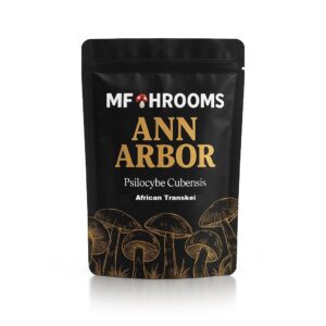 Buy Golden Teacher Magic Mushrooms Online