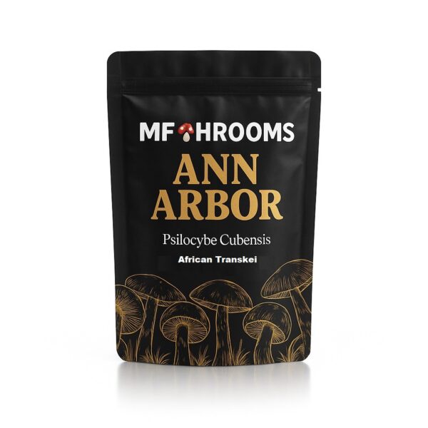 Buy Golden Teacher Magic Mushrooms Online